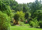 jardinsbroceliande2016_promenade