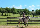 les-chevaux-du-vent--laclaiedeslandes--Copier-