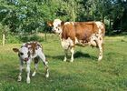 imgpreview-name-mising
