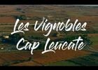 vignobles cap leucate