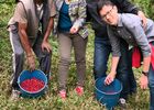 la culture biologique du café bourbon pointu à la réunion