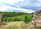 escapade vigneronne