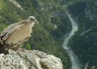 chemins des parcs, tours et détours dans les parcs naturels régionaux de provence alpes côte d'azur