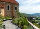 Rando & Vin en Côte-Rôtie avec Mr Probus_Ampuis