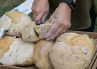 Fête de la Science : saveurs savantes_Saint-Romain-en-Gal