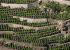 Balade en trottinette dans les vignes_Malleval