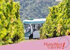 Côte-Rôtie Tour de Vignobles en Scène