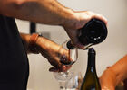 VINS