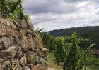 imgpreview-name-mising