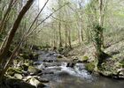 Pêche dans la rivière Valencize_Pélussin