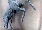 imgpreview-name-mising