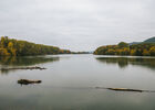 Balades découverte du patrimoine naturel de l'île du Beurre_Tupin-et-Semons