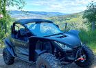 Buggy