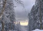 Paysage