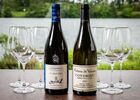 Vins