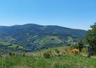 paysage