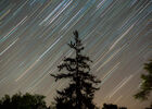 Domaine Corps de Loup : Sous les étoiles de Côte-Rôtie_Tupin-et-Semons