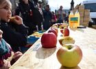 Fête de la Pomme_Pélussin