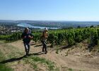 Les Rendez-vous de mon Parc "Sur les pas des pèlerins de Compostelle"_Chavanay