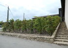 Domaine Gaillard