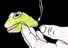Spectacle "Frogs Power" - Compagnie La Malette_Pélussin