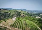 Brunch Vigneron au Domaine Anthony Paret_Saint-Pierre-de-Boeuf