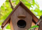 Atelier "Oiseaux et nichoirs" - L'envers du Grenier_Saint-Sauveur-en-Rue