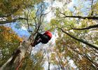 Accrobranche en terrain d'aventure