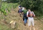 Rando En Côte-Rôtie