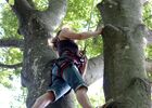 Accrobranche en terrain d'aventure