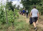 Rando des Coteaux