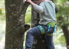 Accrobranche en terrain d'aventure