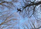 Accrobranche en terrain d'aventure