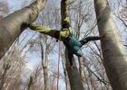 Accrobranche en terrain d'aventure