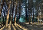 imgpreview-name-mising