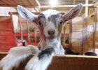 imgpreview-name-mising
