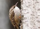 imgpreview-name-mising