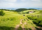 Rando OFF-TEL - Massif du Pilat