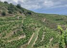 Coteaux en Condrieu