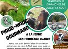 Pique-nique à la Ferme des Pommeaux Blancs_La Versanne