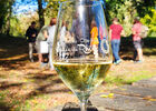 Apéro Vignes au Domaine Anthony Paret_Saint-Pierre-de-Boeuf