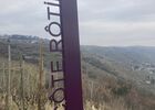 Côte-Rôtie