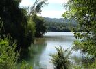 Balades Découverte du Patrimoine naturel de l'île du Beurre pour les journées européennes du patrimoine_Tupin-et-Semons