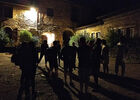 chartreuse nocturne