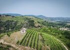 Brunch Vigneron au Domaine Anthony Paret_Saint-Pierre-de-Boeuf