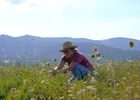 Atelier Plantes Sauvages & Apiculture_Malleval