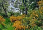imgpreview-name-mising
