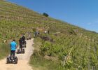 Week-end au coeur de la Vallée du Rhône Nord_Chavanay