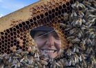 Atelier Plantes Sauvages & Apiculture_Malleval