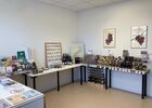 Mr Probus Boutique et Dégustation Oenologique_Ampuis